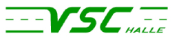 Verkehrs-System Consult Halle GmbH Logo